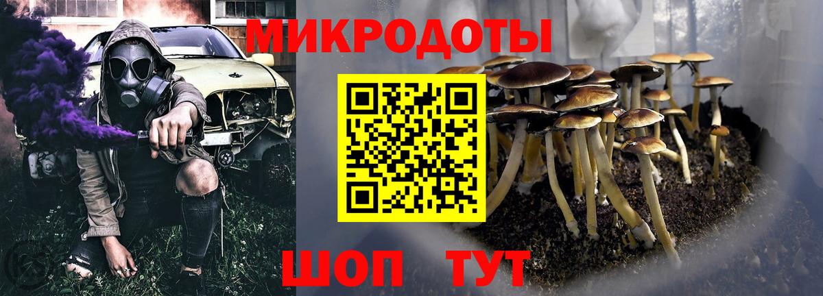 Барабинск  даркнет сайт  Вход с VPN  Псилоцибиновые грибы Psilocybe 